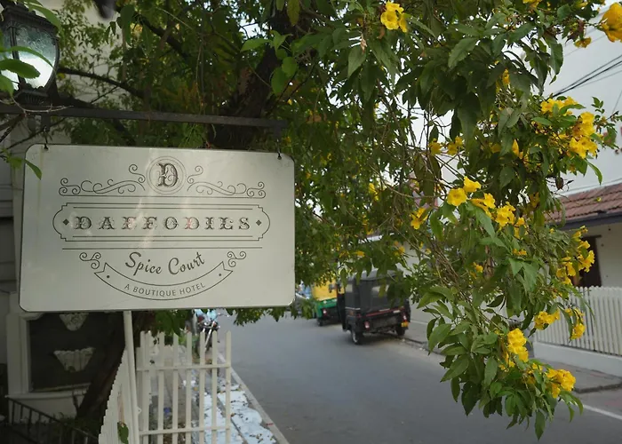 Daffodils Spice Court