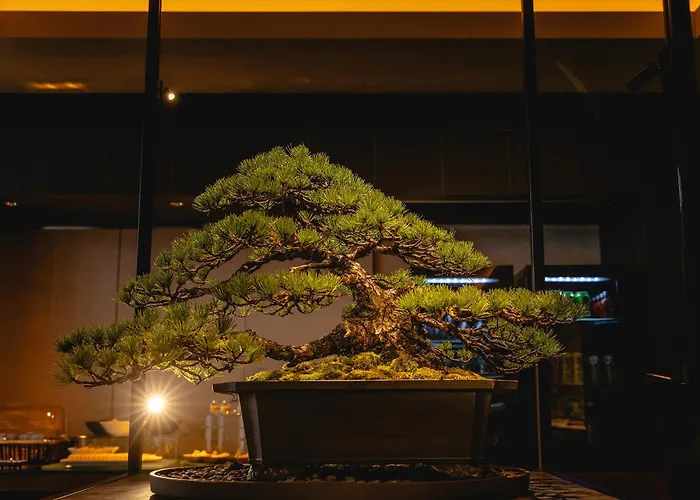 Hotel Gracery Kyoto Sanjo