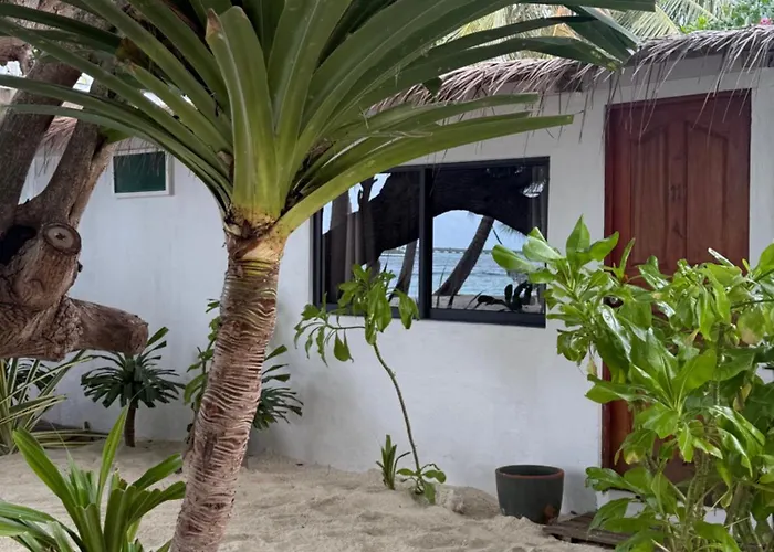 Samura Maldives Guest House Thulusdhoo