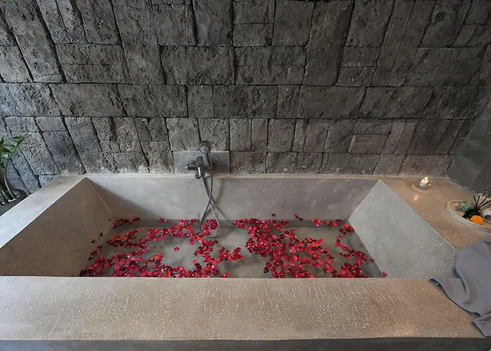 The Wina Villa Canggu By The Wina Resorts