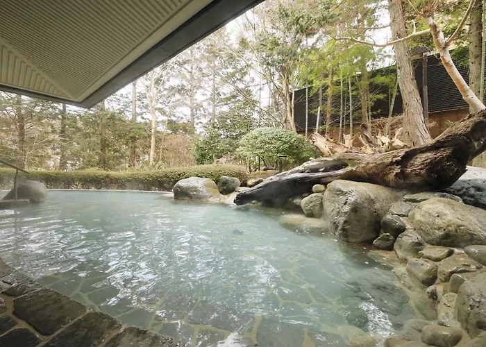 Hakone Hisui