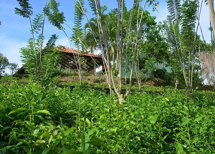 Oriole Villas Bentota