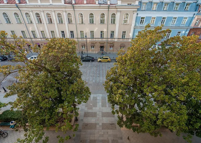 Luxury Apartments On Central Avenue Tbilisi