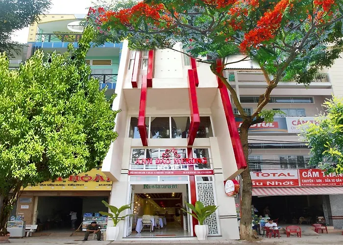 Anh Dao Mekong Hotel Can Tho
